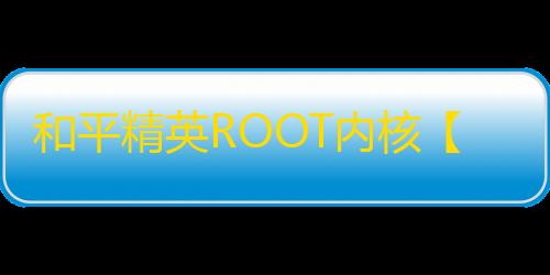 和平精英ROOT内核【Rine内核】外挂